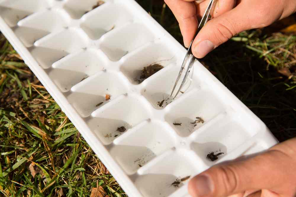 NASA'S MICHIGAN SPACE GRANT CONSORTIUM FELLOWSHIP OPPORTUNITIES